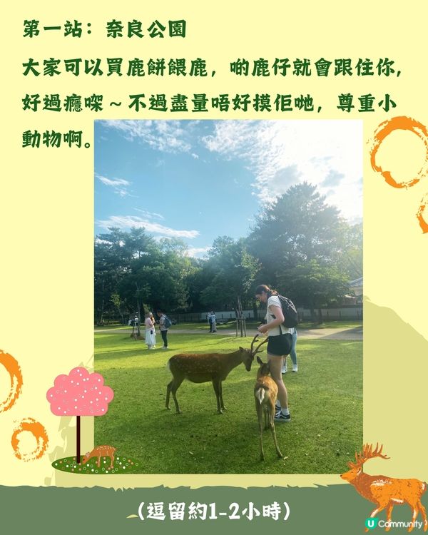 奈良1日遊行程🦌大阪京都近郊必去❤️45分鐘即達 附餐廳推薦