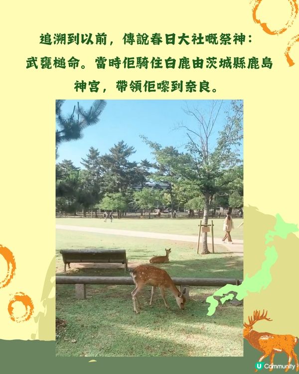 奈良1日遊行程🦌大阪京都近郊必去❤️45分鐘即達 附餐廳推薦