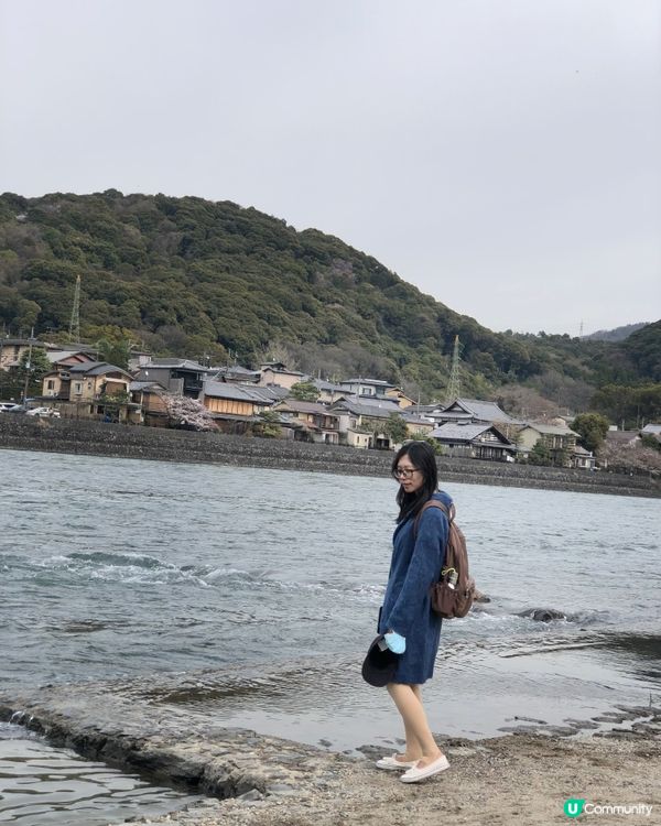 日本賞櫻-宇治超實用攻略