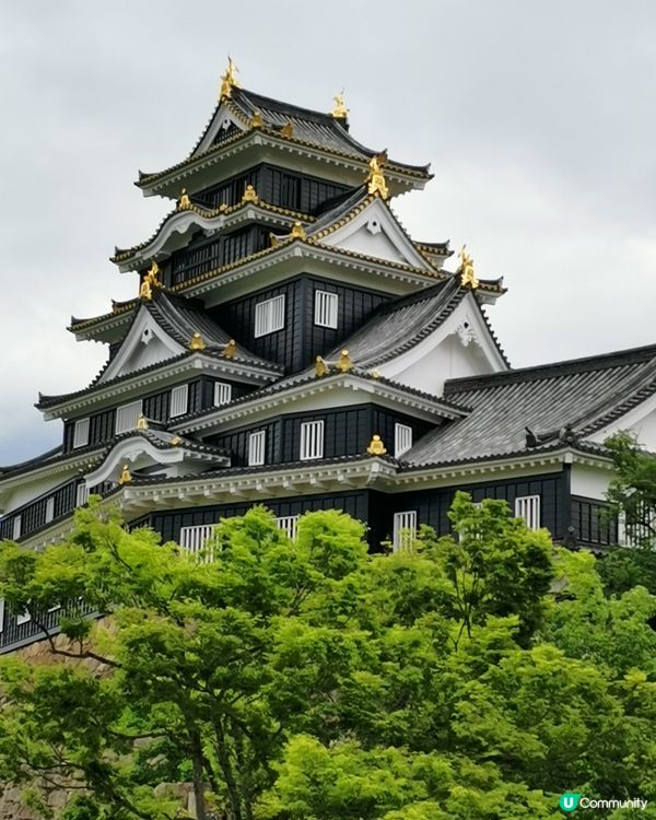 高松道後岡山大阪9天之行