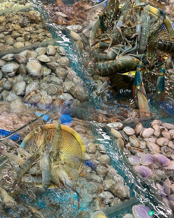 港人北上必試自助餐！