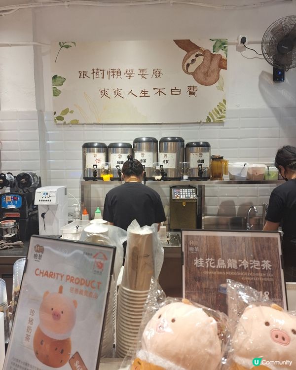 ＜尖沙咀＞一齊學樹懶耍廢