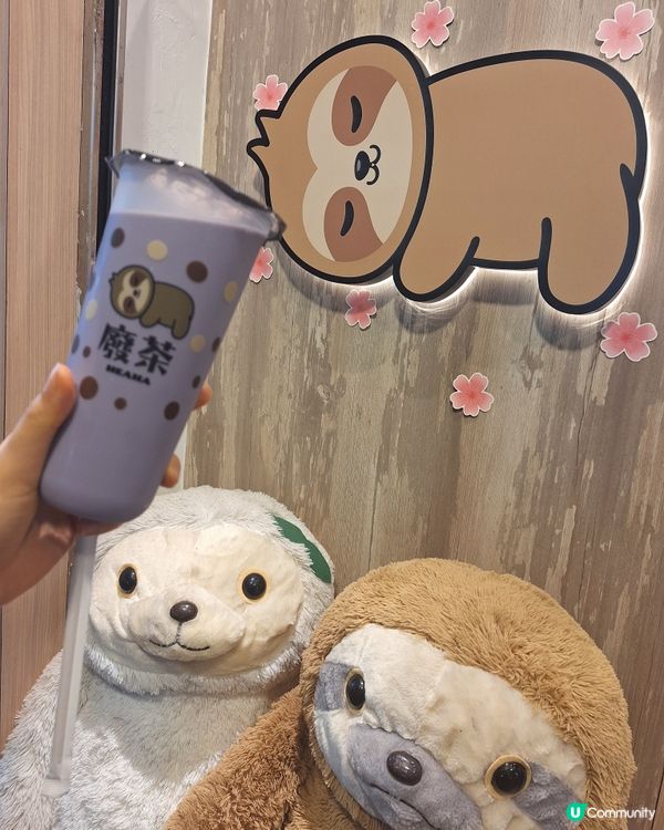 ＜尖沙咀＞一齊學樹懶耍廢