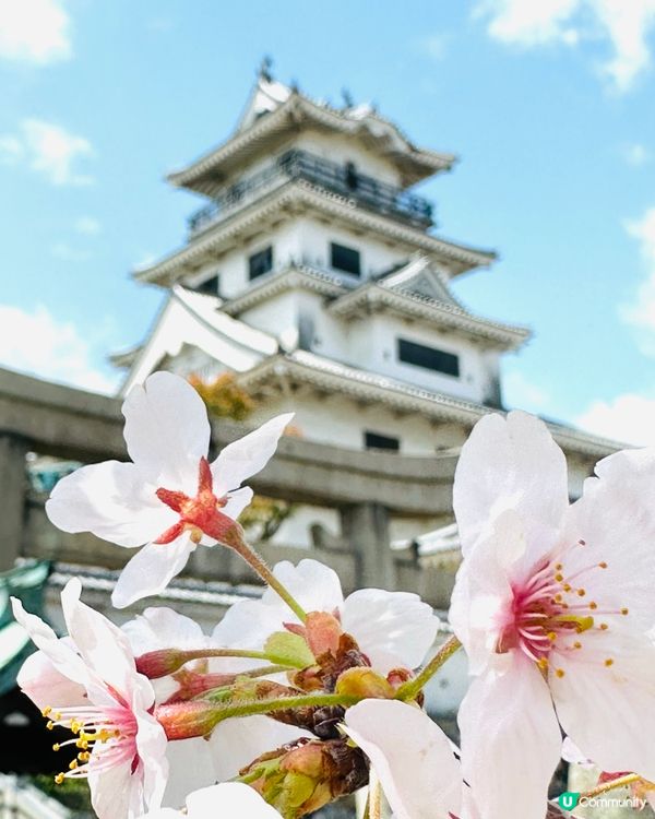 今治城