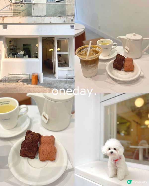 大坑寵物友善🤍必食熊仔Madeleine🧸