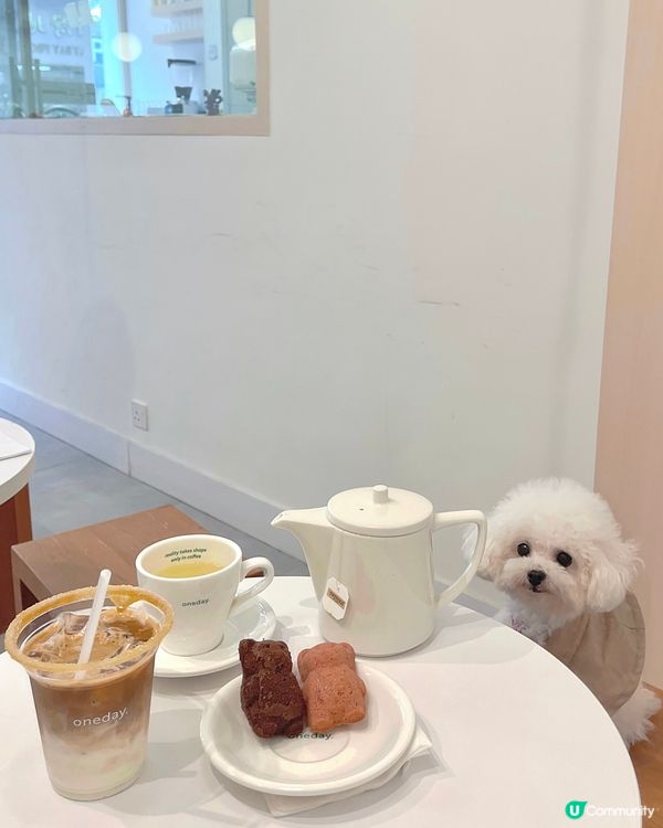 大坑寵物友善🤍必食熊仔Madeleine🧸