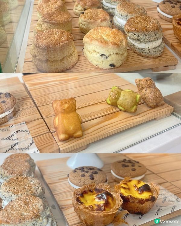 大坑寵物友善🤍必食熊仔Madeleine🧸