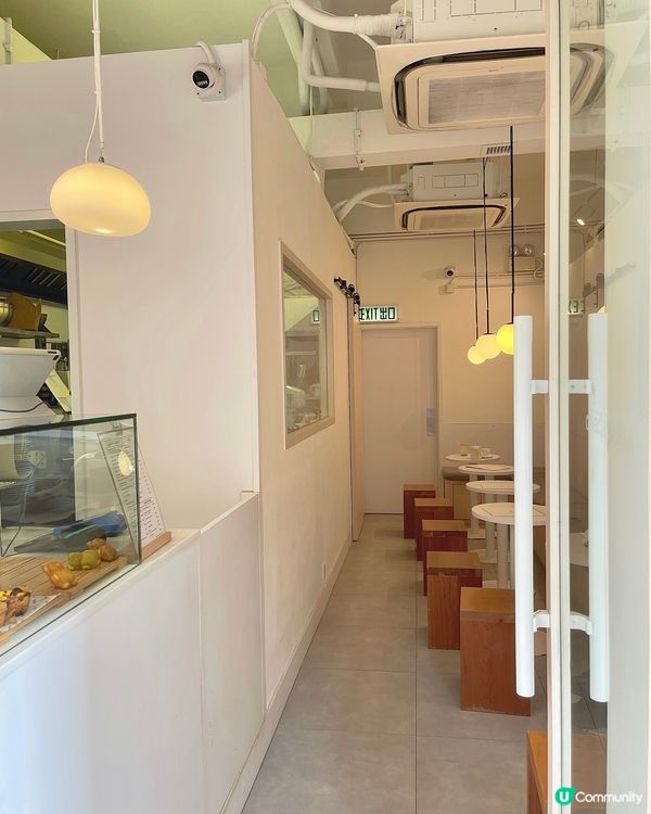 大坑寵物友善🤍必食熊仔Madeleine🧸