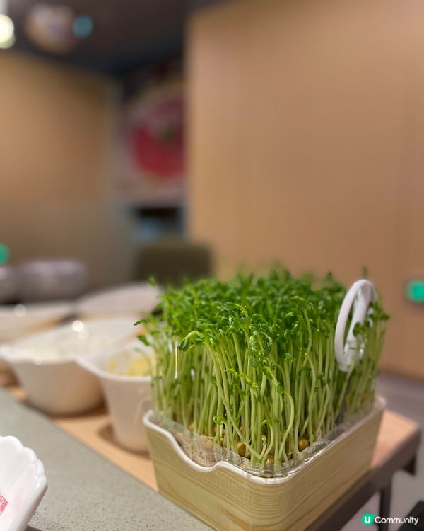 【深圳美食】海底撈超萌熊貓甜品和變臉表演