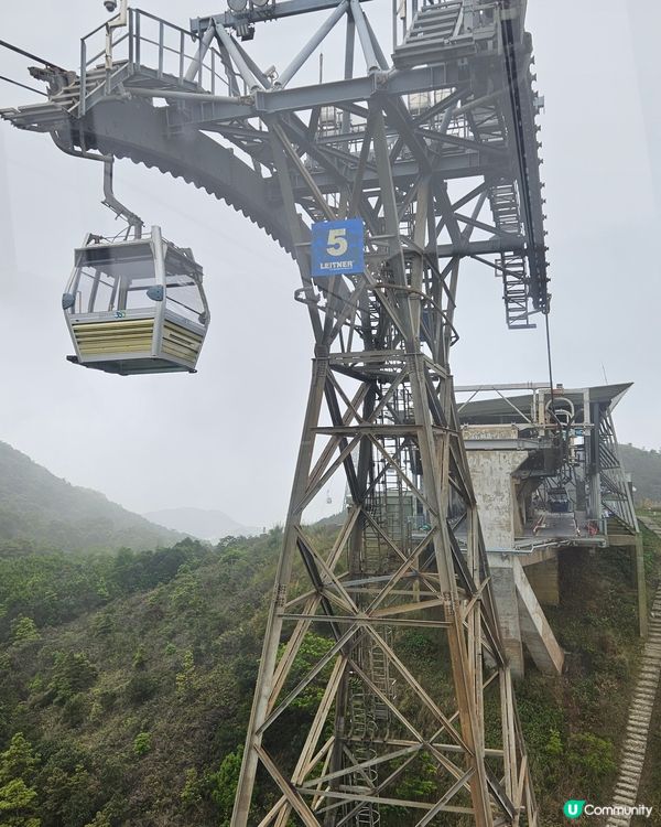 慢走於天壇大佛