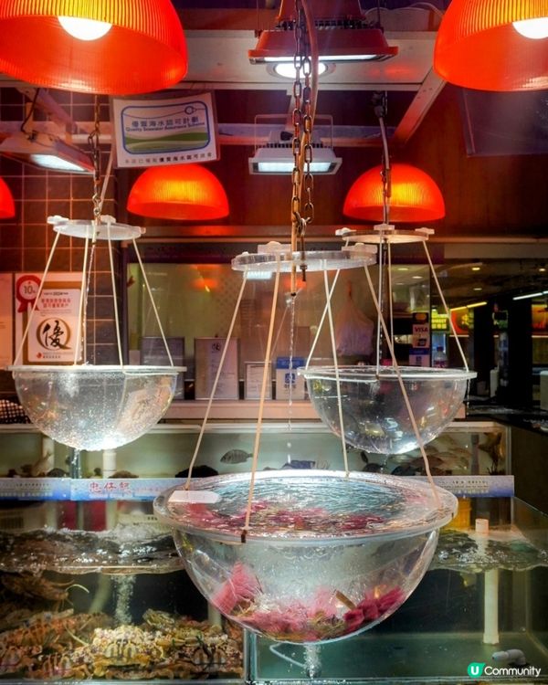 屯門三聖海鮮市場🐟懷舊容龍海鮮加工
