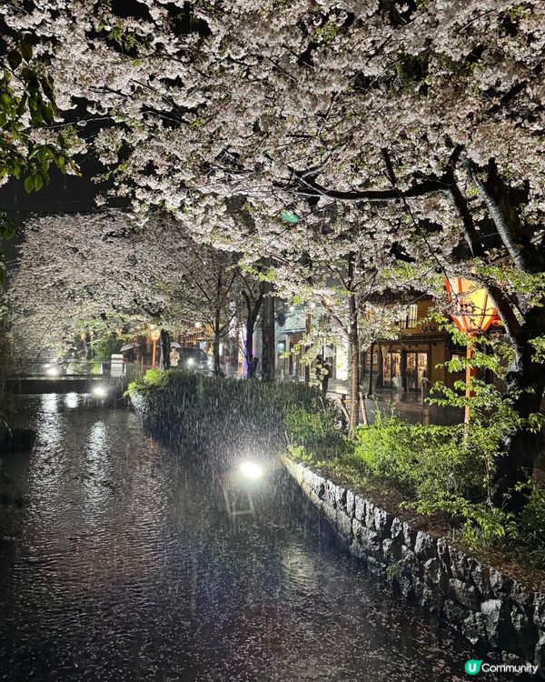 無敵櫻花景居酒屋 🇯🇵 5星炭火燒居酒屋 Julia 