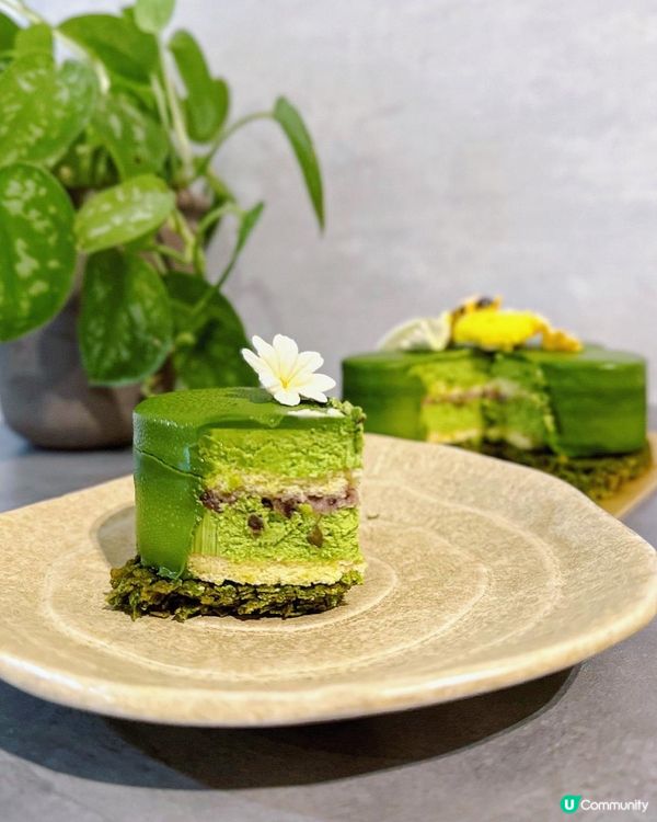 Zoë Cake蛋糕款式多又特別🌼