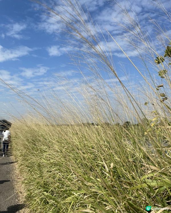 大生圍~~香港漁塘文化之旅~~