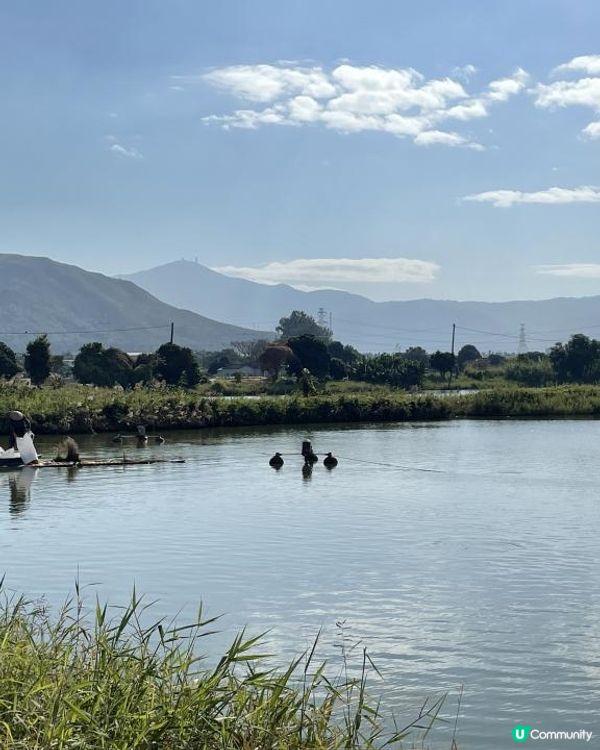 大生圍~~香港漁塘文化之旅~~