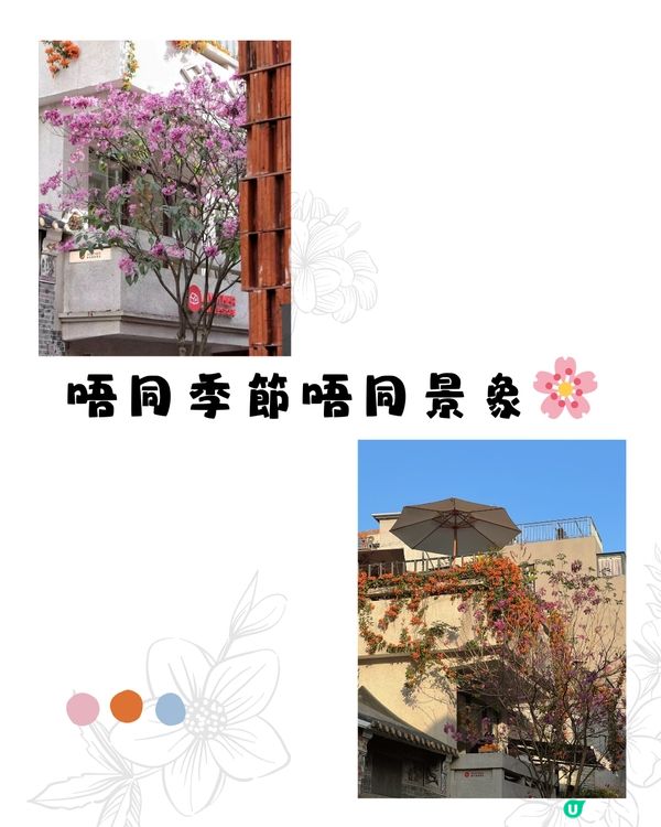 深圳南頭古城🏯 食玩買攻略🛍️🍜🪁免費入場！附交通教學🚗