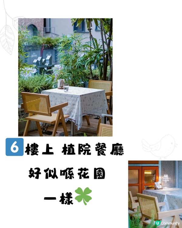 深圳南頭古城🏯 食玩買攻略🛍️🍜🪁免費入場！附交通教學🚗