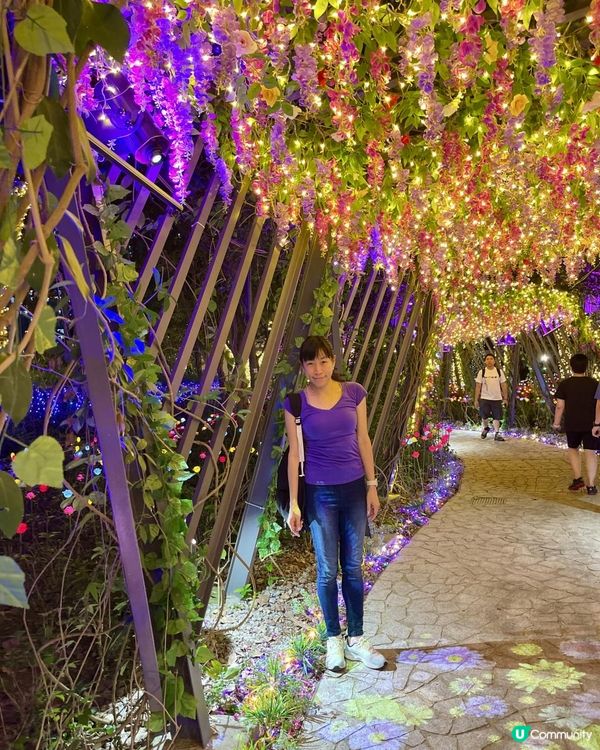 💜💜流光溢彩耀東區💜💜