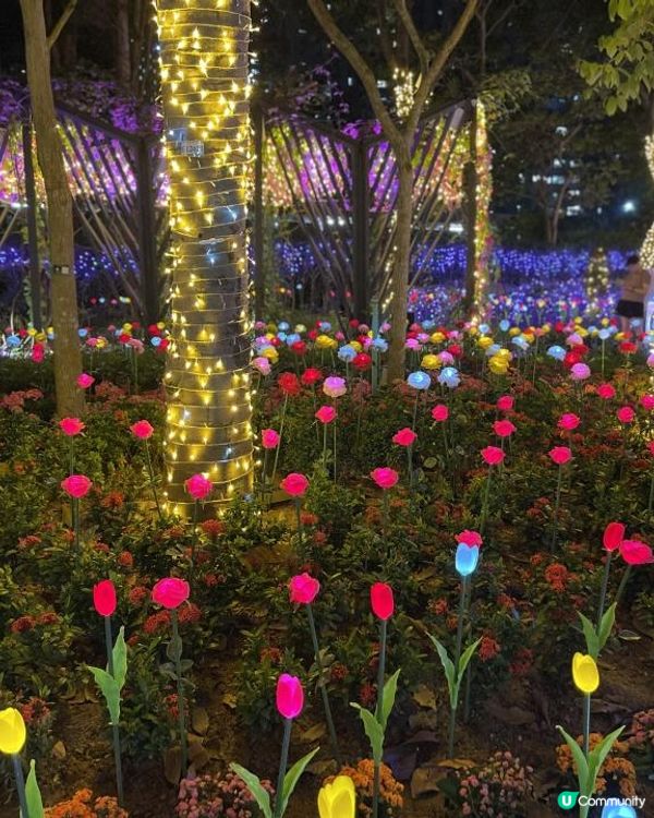 💜💜流光溢彩耀東區💜💜