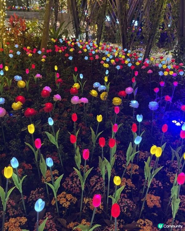 💜💜流光溢彩耀東區💜💜