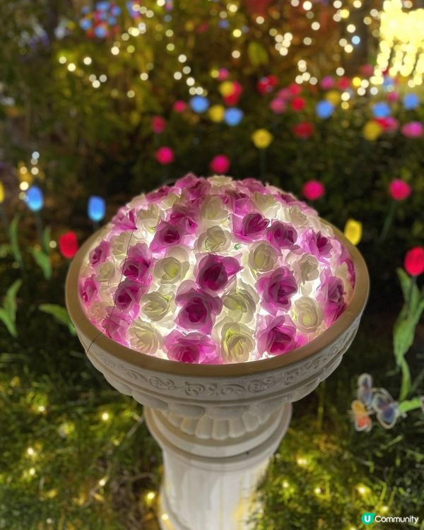 💜💜流光溢彩耀東區💜💜