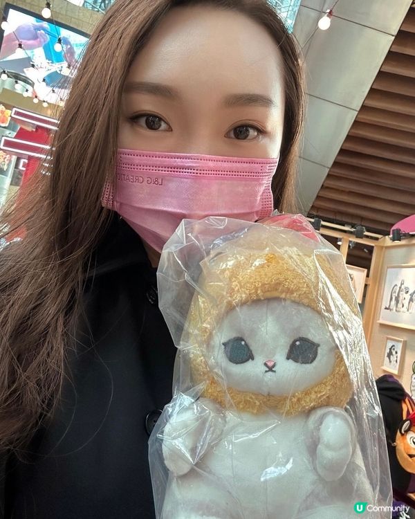 朝聖鯊魚貓專賣店