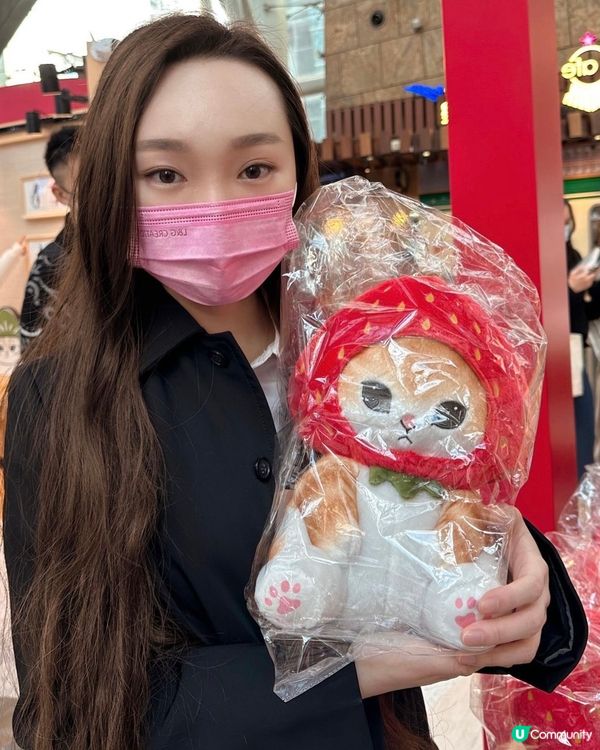 朝聖鯊魚貓專賣店