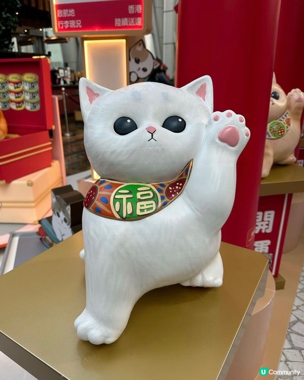 朝聖鯊魚貓專賣店