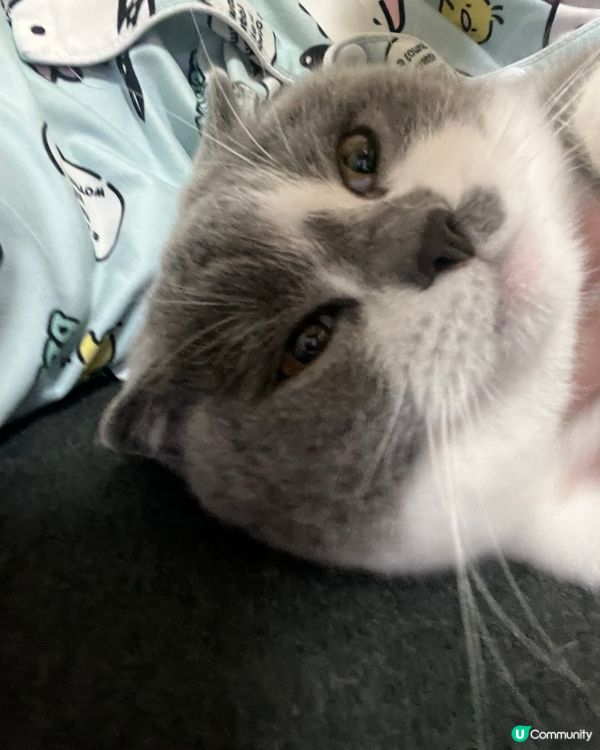 想請問大家去南丫島點樣訂民宿或者酒店，有否推薦丫？