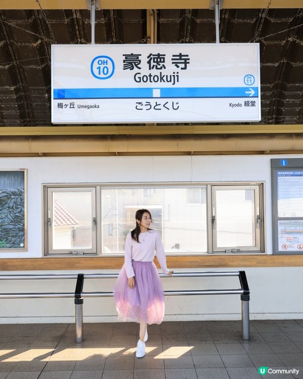 ｛東京旅遊｝豪德寺實用攻略