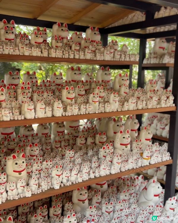 ｛東京旅遊｝豪德寺實用攻略