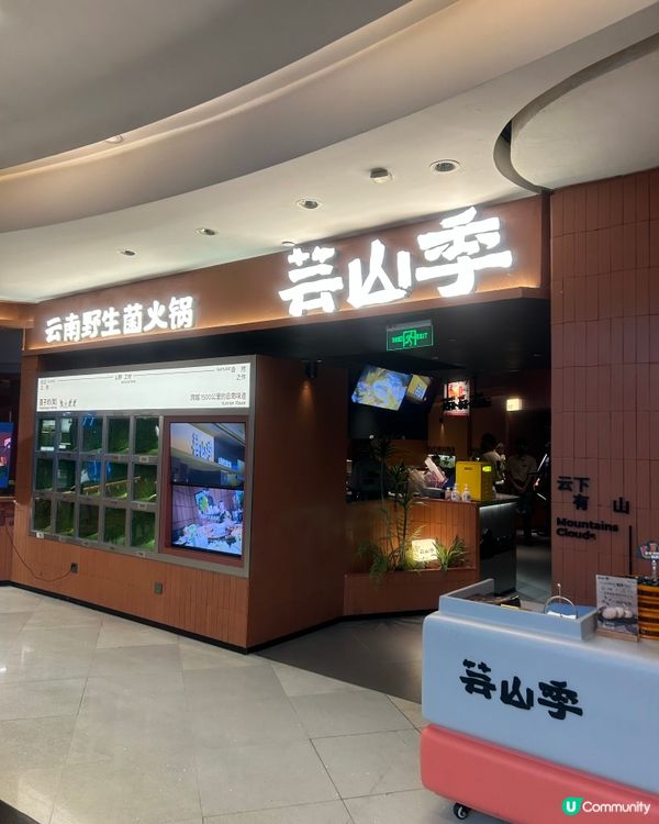 深圳！芸山季·雲南野生菌火鍋，菇菌鮮味