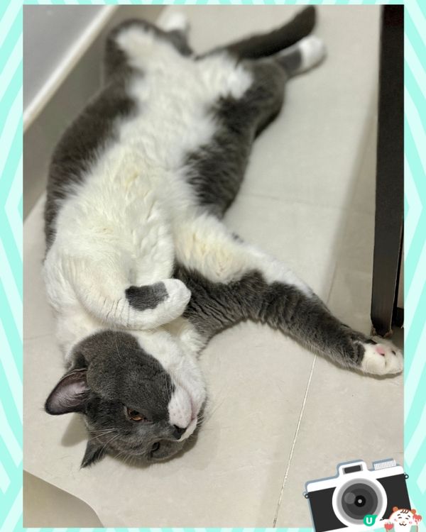 喂呀⋯⋯你兩兄弟注意吓儀態好啵😼