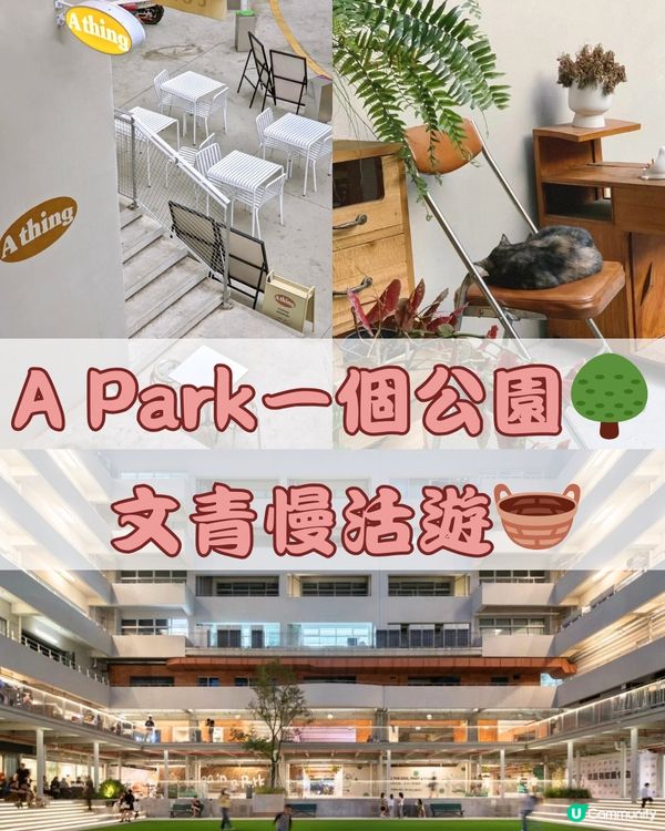 深圳 A park一個公園🌳 文青慢活遊🧺免費入場！附交通教學🚗