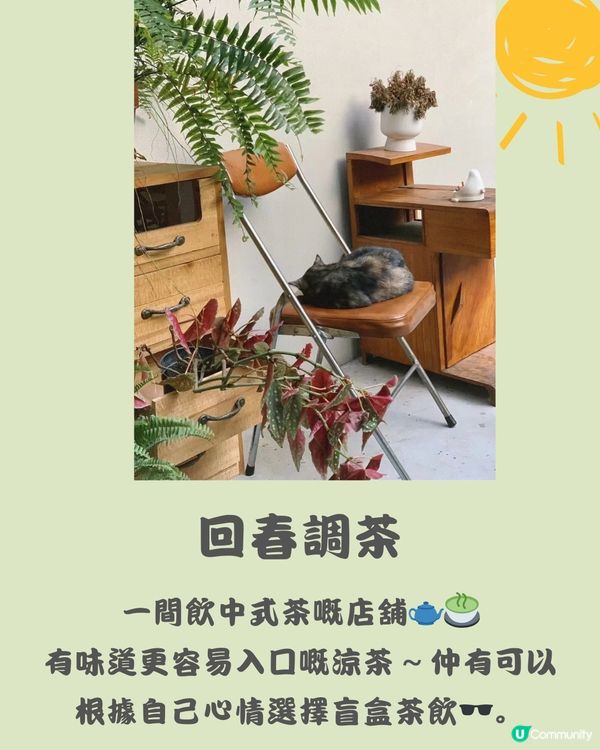 深圳 A park一個公園🌳 文青慢活遊🧺免費入場！附交通教學🚗