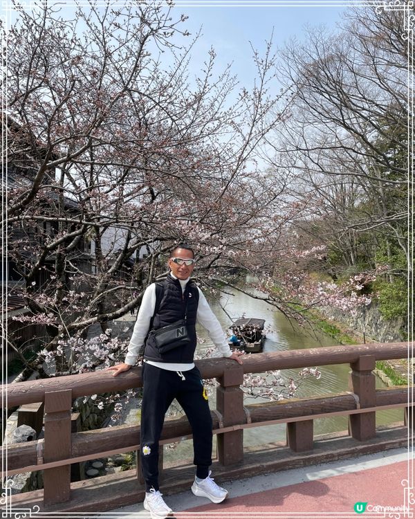 日本樱花🌸馬拉松之旅