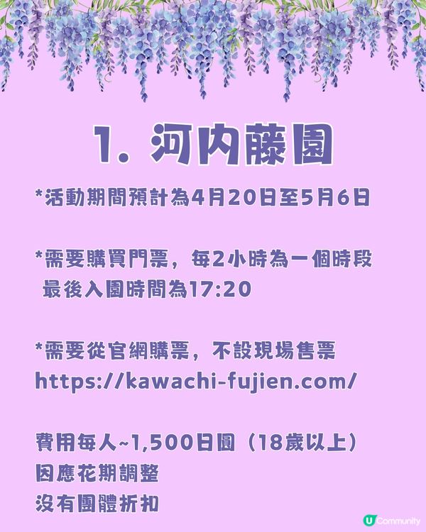 日本全國紫藤花觀賞地9選💜樹齡850年😳國家指定天然紀念物💯