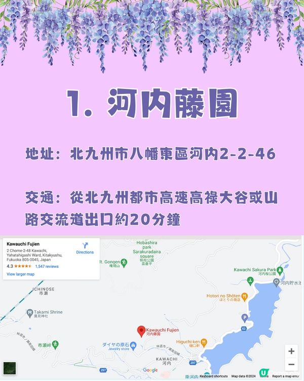 日本全國紫藤花觀賞地9選💜樹齡850年😳國家指定天然紀念物💯