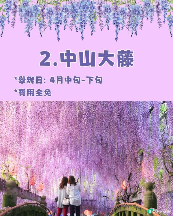 日本全國紫藤花觀賞地9選💜樹齡850年😳國家指定天然紀念物💯