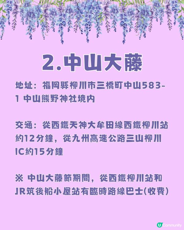日本全國紫藤花觀賞地9選💜樹齡850年😳國家指定天然紀念物💯
