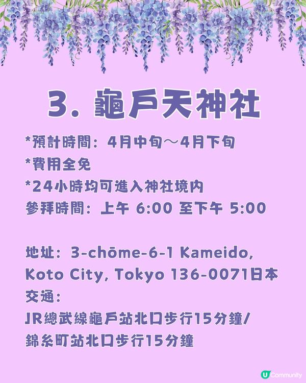 日本全國紫藤花觀賞地9選💜樹齡850年😳國家指定天然紀念物💯