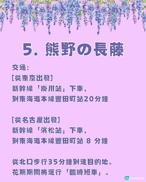 日本全國紫藤花觀賞地9選💜樹齡850年😳國家指定天然紀念物💯