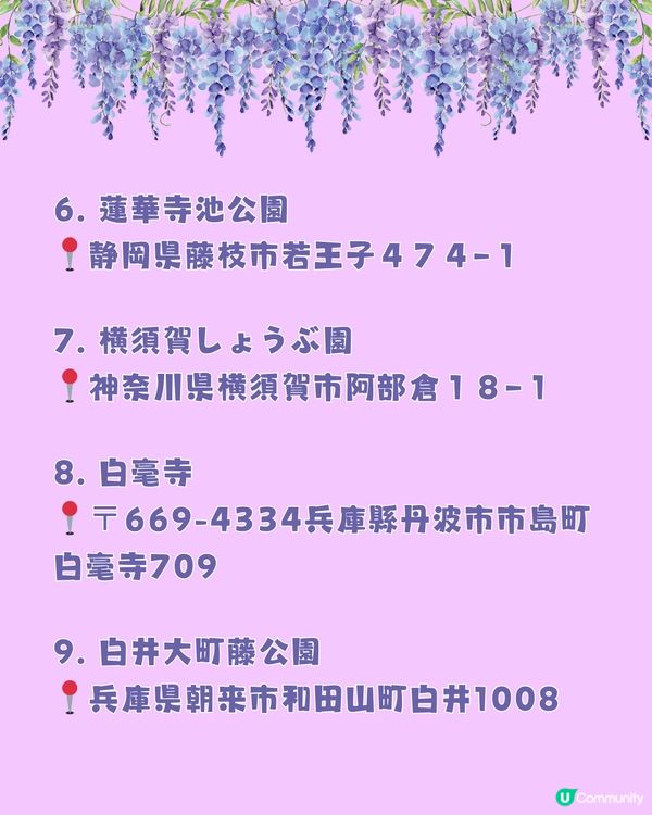 日本全國紫藤花觀賞地9選💜樹齡850年😳國家指定天然紀念物💯