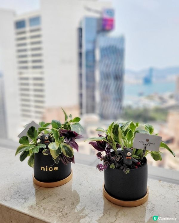 綠色生活 午間小聚 @ 富豪香港酒店 ( 銅鑼灣 )