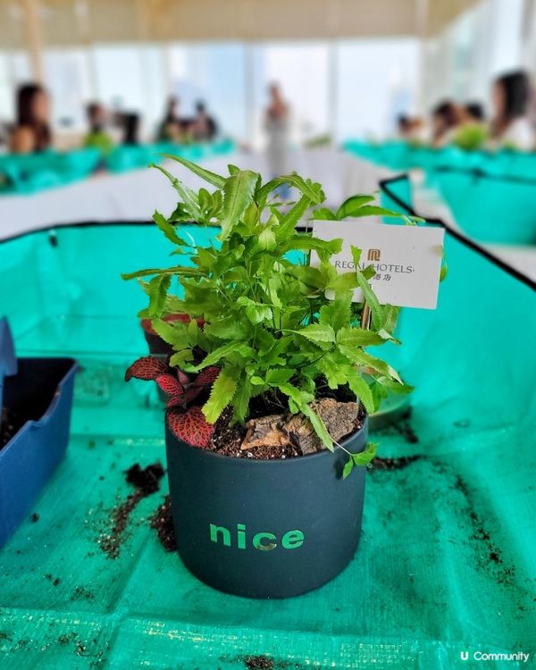 綠色生活 午間小聚 @ 富豪香港酒店 ( 銅鑼灣 )