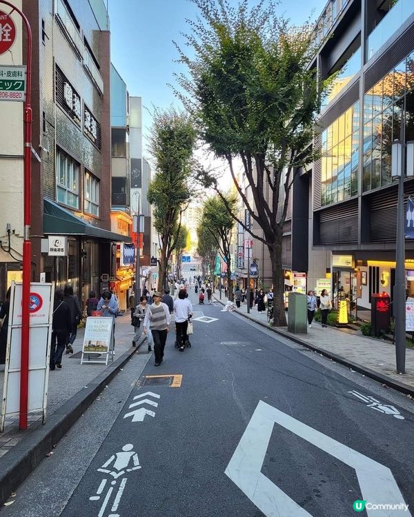 元祖五十番 -- 超大菜肉包 