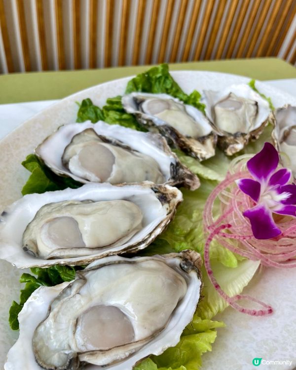 【超肥美又大隻🦪蠔控必食台山生蠔】