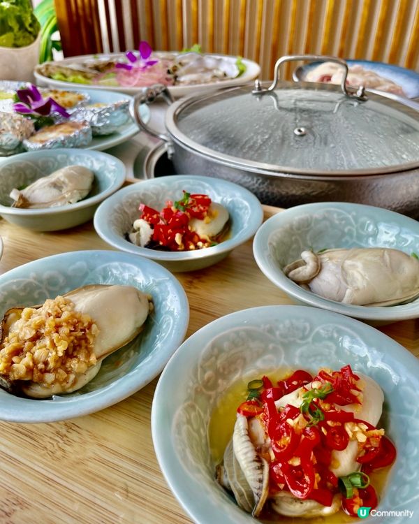 【超肥美又大隻🦪蠔控必食台山生蠔】