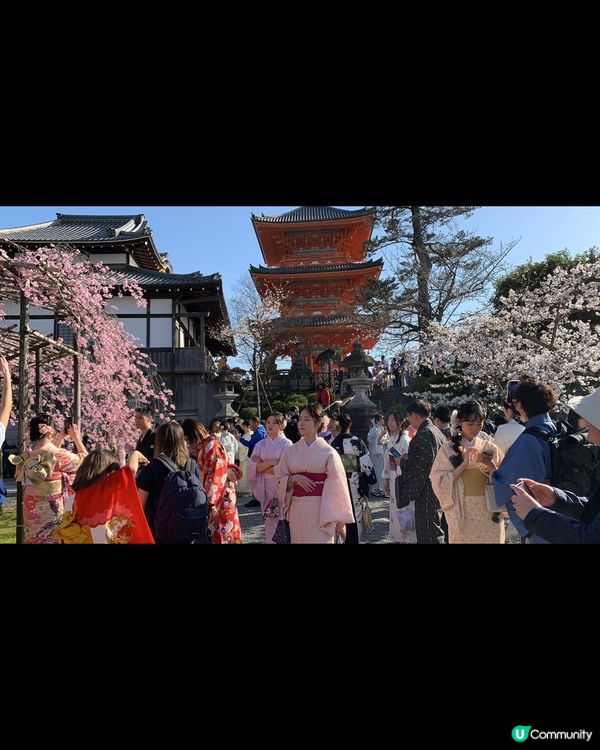 日本之行🌸賞櫻地標～京都清水寺