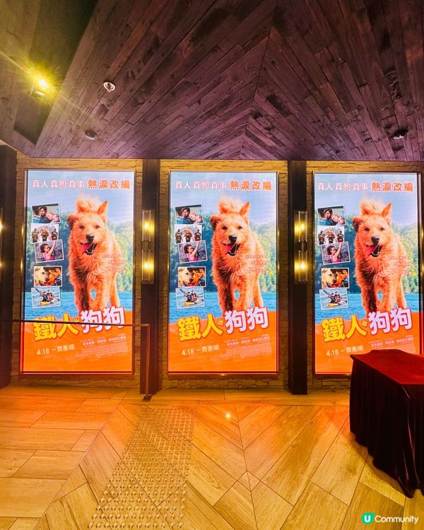 《 鐵人狗狗 》